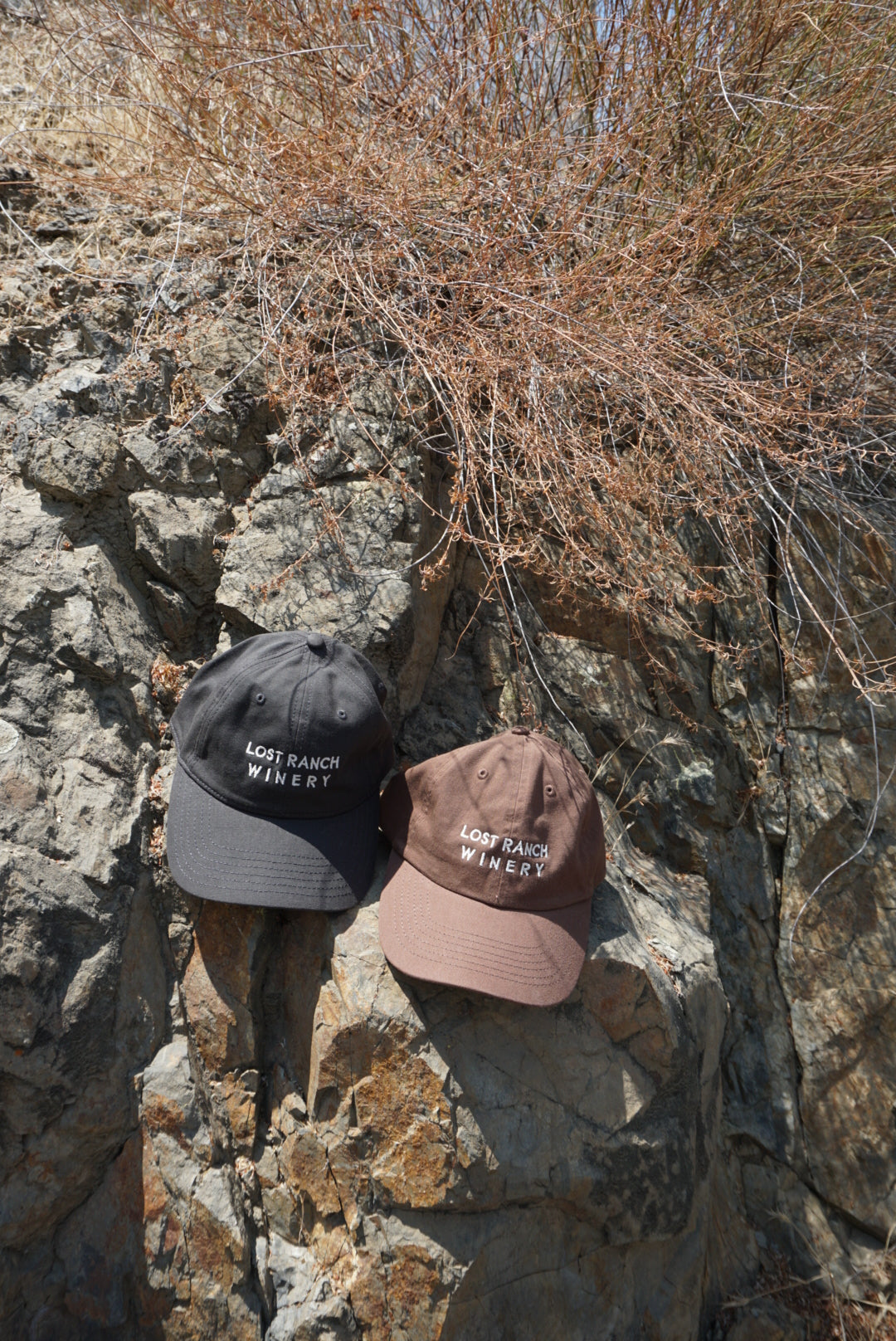 LOST RANCH HAT BROWN